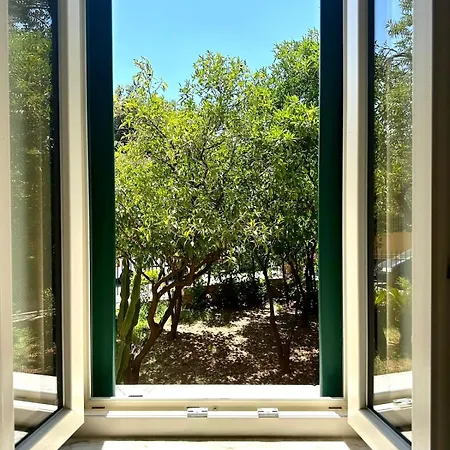 Apartment Matteotti Living And Garden Palermo