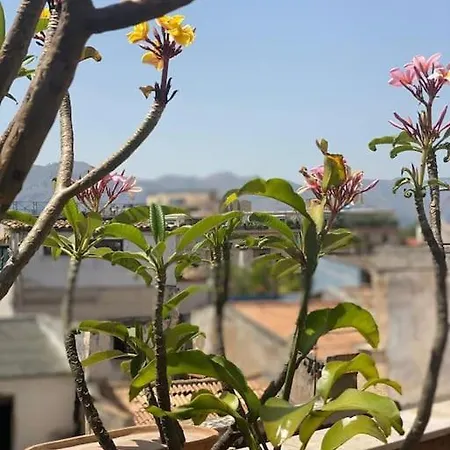 Attico La Rocca Sulla Cala Palermo