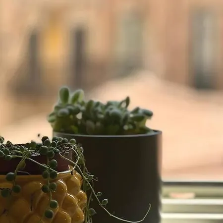 Apartment Terrazza Sul Mercato. Your House In Ballaro