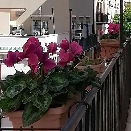 Calimero Luxury Apartment Palermo