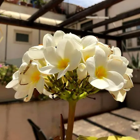 Ai Tintori Bed & Breakfast Palermo