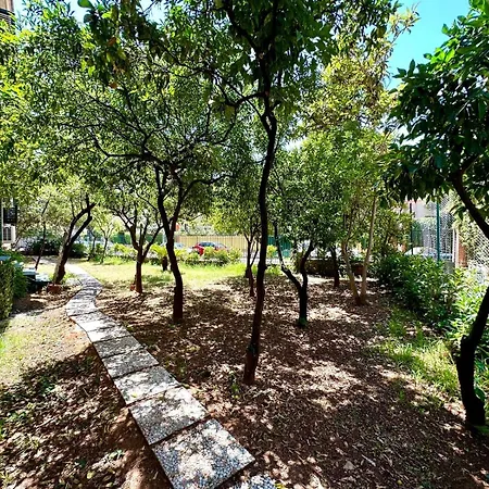 Matteotti Living And Garden *
