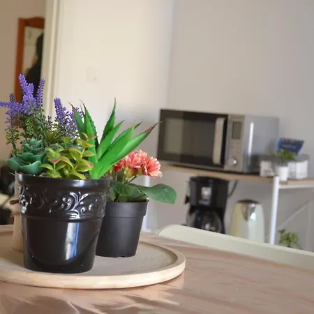 Apartment 4 Country Side - Center Palermo