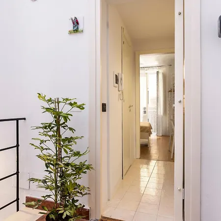 Agata E Rosalia 2 Bedroom Flat At The Quattro Canti * Palermo
