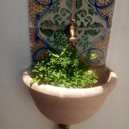 Il Terrazzino Sul Kemonia