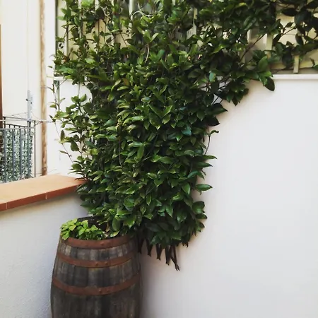 Appartamento Il Terrazzino Sul Kemonia Palermo