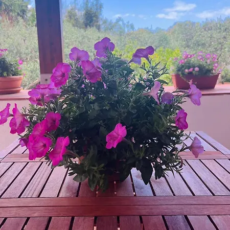 Holiday home Casa A Mare La Stalletta *