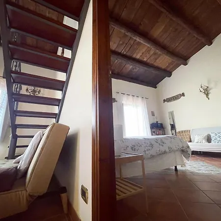 Kasa Kala Attico Con Terrazza Palermo
