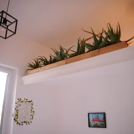 Le Cupole Di Ballaro Apartment Palermo