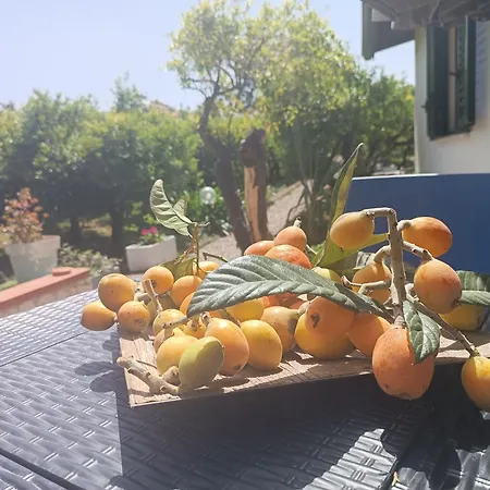Duplex House Holiday home Palermo