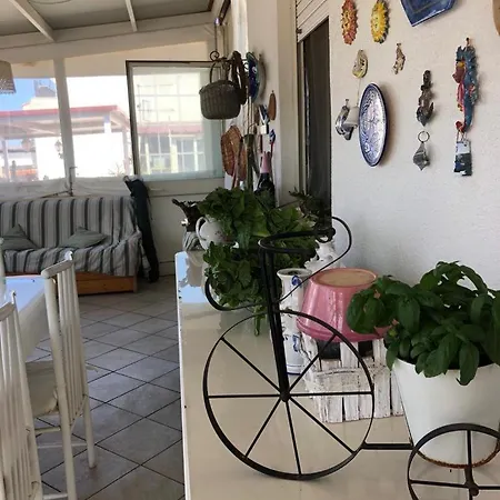 La Casa Del Polpo *