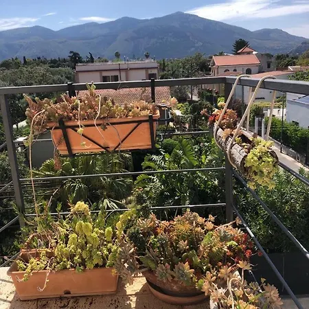 La Casa Del Polpo Homestay *