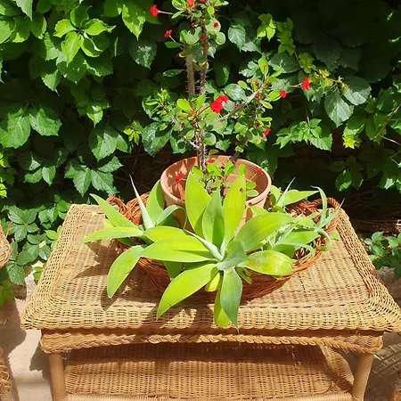 Holiday home La Casetta Del Melograno