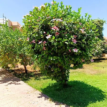 Casa vacanze Garden House Mondello Palermo