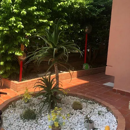 Mondello House Lemon Palermo