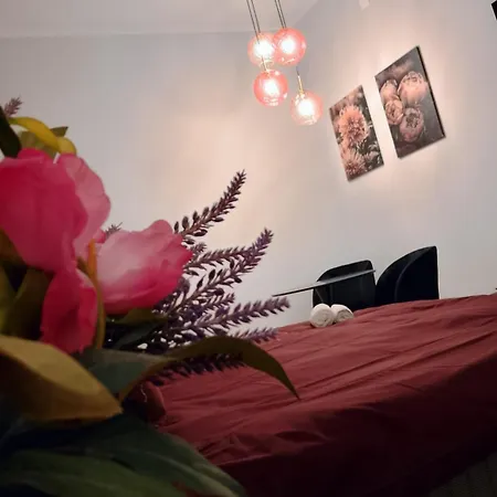 Le Di Caterina Apartment Palermo