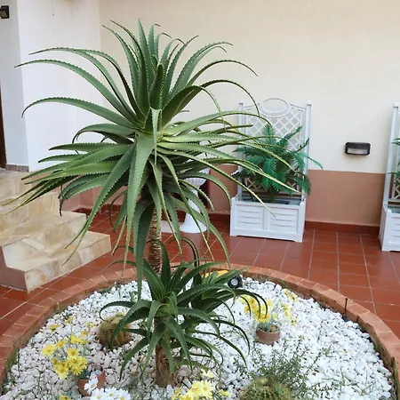 Mondello House Lemon Appartamento *