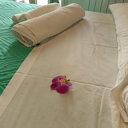 Apartment We # Are Ai Cassarelli *