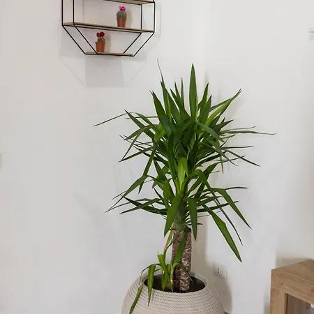 Maison Zisa - Proppro - * Palermo