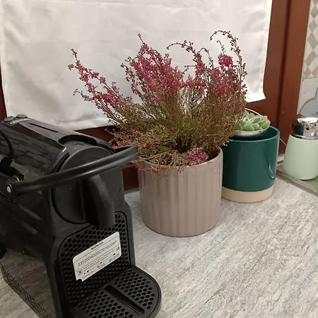 Apartamento Casa Petri *