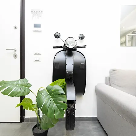 Modern House Orleans * Palermo
