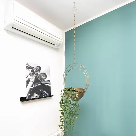Modern House Orleans Apartment