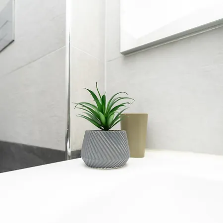 Modern House Orleans