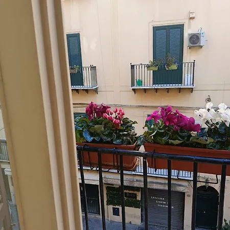 Apartment We # Are Ai Cassarelli *