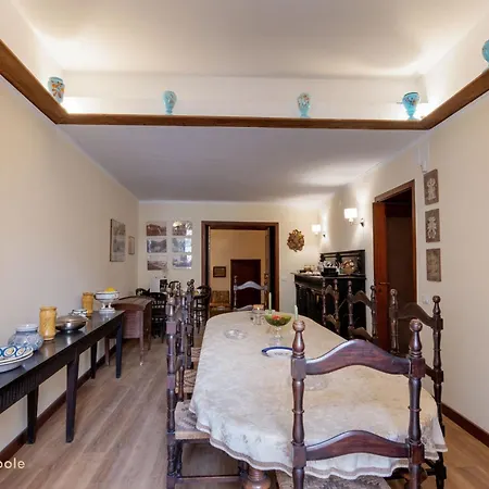 Center Guest house *