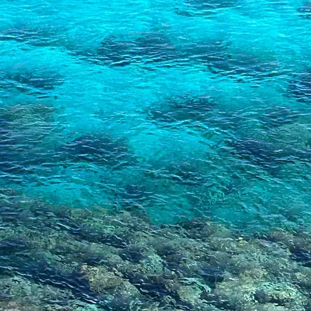 Mondello Addaura Addisio Penzion *