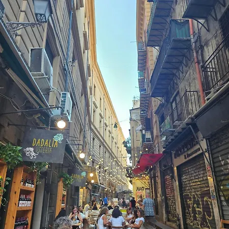 La Rosa Bianca Della Vucciria Hébergement de vacances Palerme