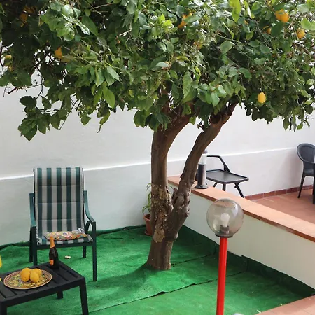 Mondello House Lemon Palermo