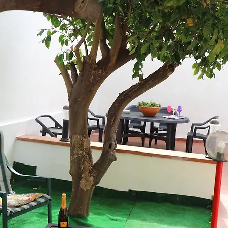 Appartement Mondello House Lemon