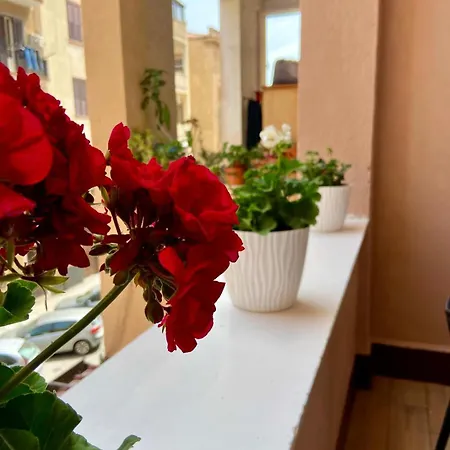 Sicilia Bedda Room's * Palermo