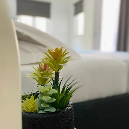 Attico Belvedere Apartment Palermo