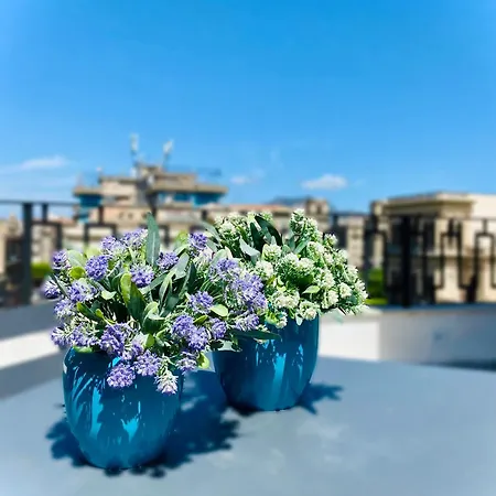 Attico Belvedere Apartment