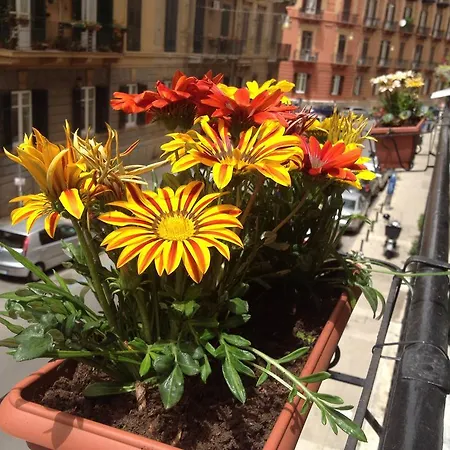 Bed & Breakfast Alba Palermo