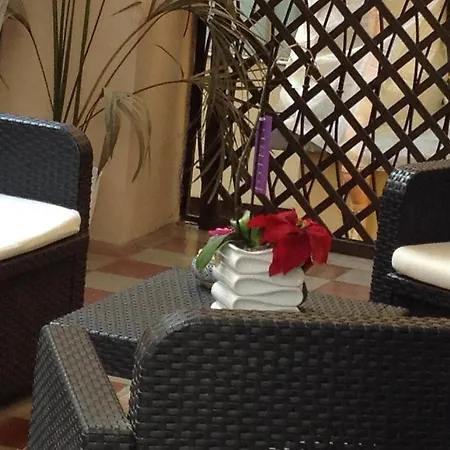 Bed & Breakfast Alba *