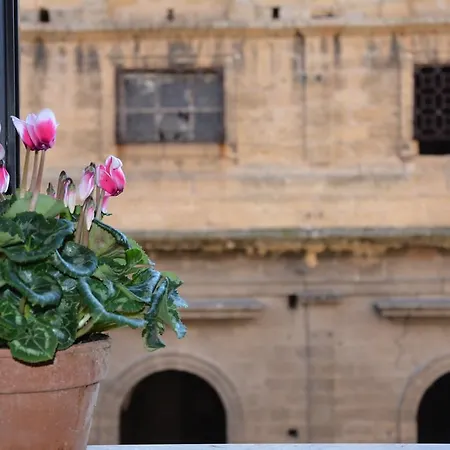 My Way - - Palazzo San Matteo *