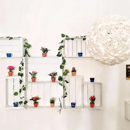 Apartment Partanna Mondello Cost *