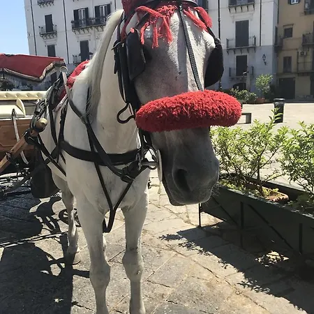Petrosino בית הארחה