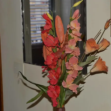 Bed and breakfast La Casa Del Cocchiere Palermo