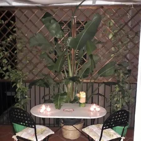 Camidu Boutique House Apartment *