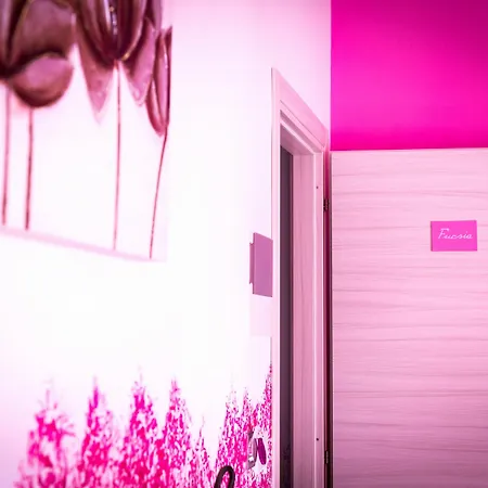 Colors 팔레르모