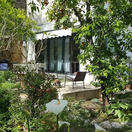 Frühstückspension Nel Giardino Degli Agrumi Palermo
