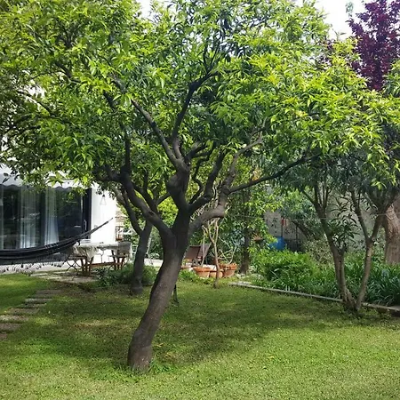 Nel Giardino Degli Agrumi Frühstückspension 2*