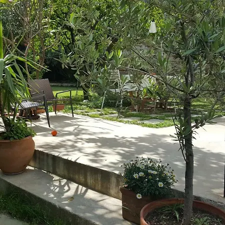 Nel Giardino Degli Agrumi 2* Palermo