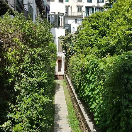 Nel Giardino Degli Agrumi Palermo