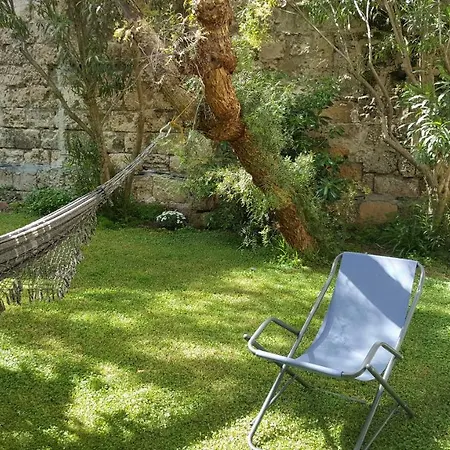 Nel Giardino Degli Agrumi