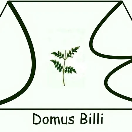 Holiday home Domus Billi